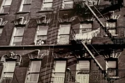 Un regard suspendu Escalier de secours d'appartements New York City – 1953