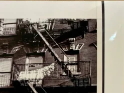 Un regard suspendu Escalier de secours d'appartements New York City – 1953