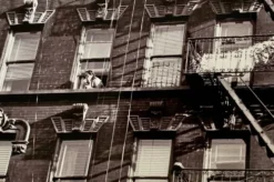 Un regard suspendu Escalier de secours d'appartements New York City – 1953