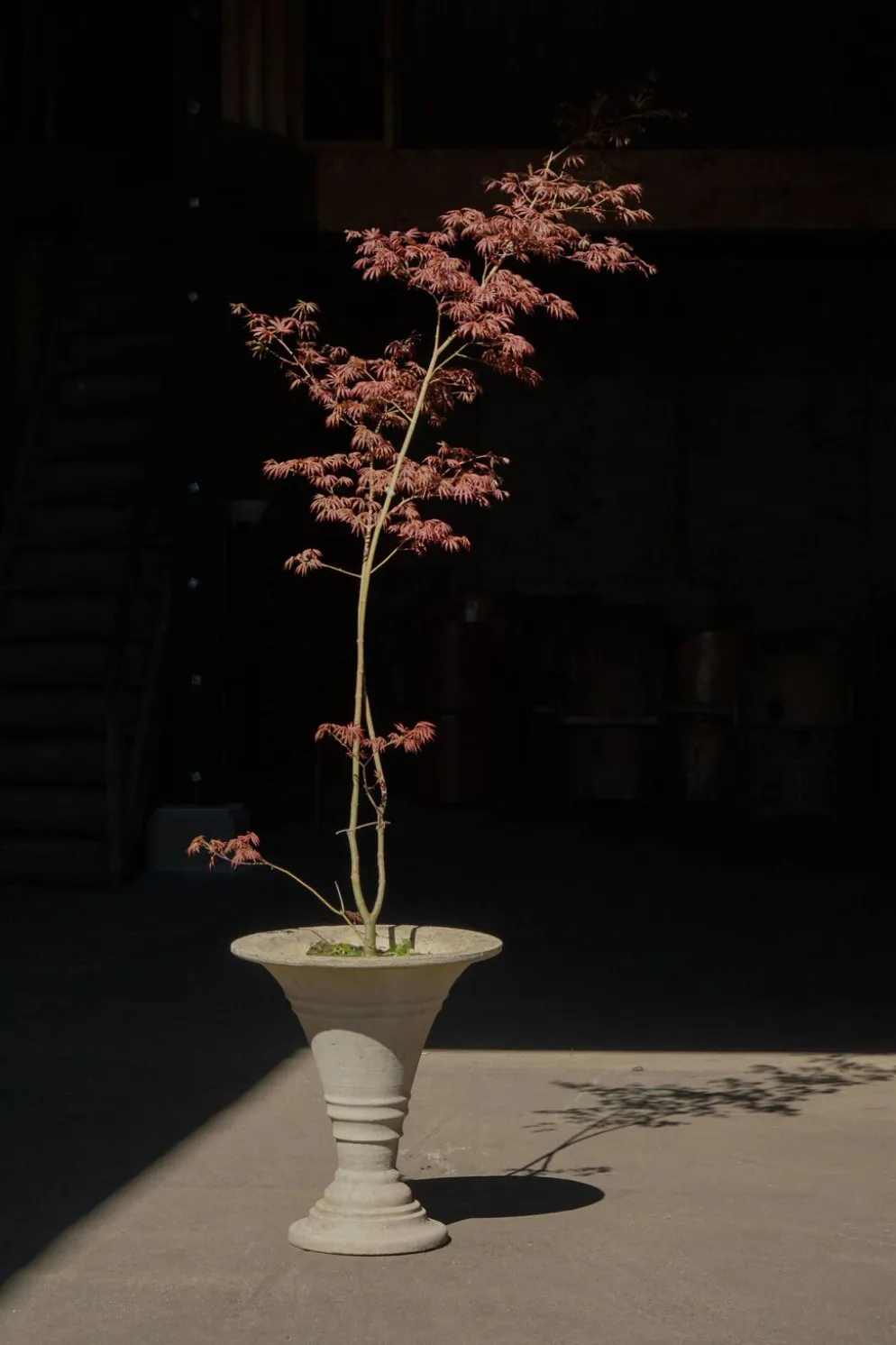 Urne / jardinière en béton moulé, milieu du 20e siècle, Scandinavie, années 1970