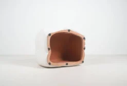 Œuvre d'art en céramique organique avec des motifs marins