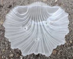 Vide poche coquillage