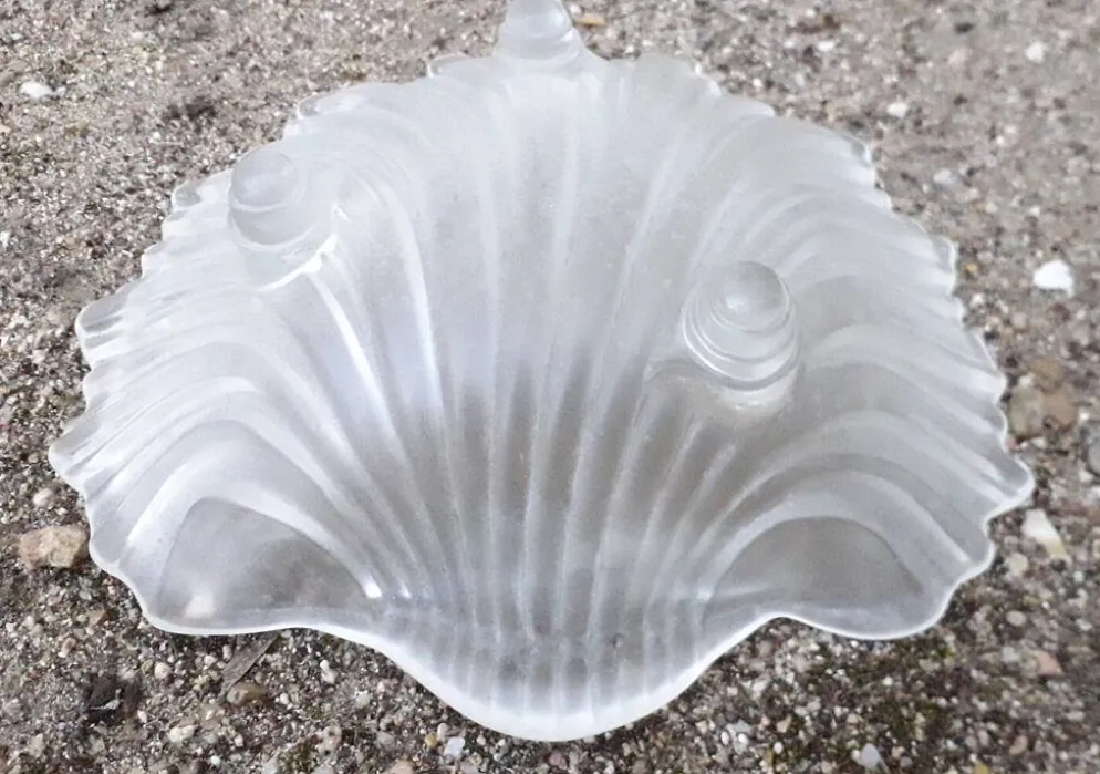Vide poche coquillage