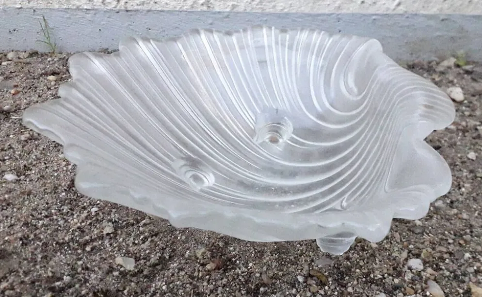 Vide poche coquillage