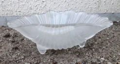 Vide poche coquillage