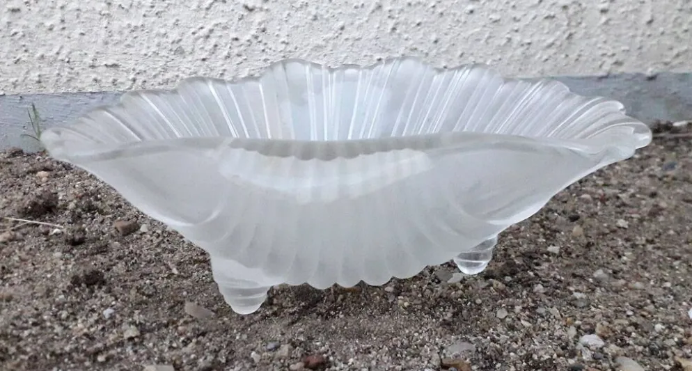 Vide poche coquillage