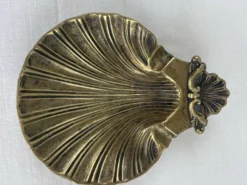 Vide poche coquille saint Jacques