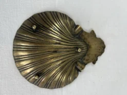 Vide poche coquille saint Jacques