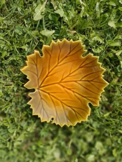 Vide poche Feuille Automne