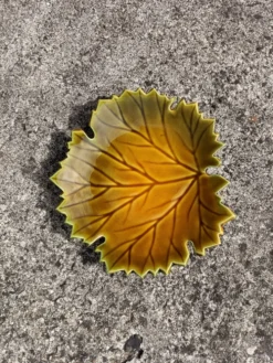Vide poche Feuille Automne