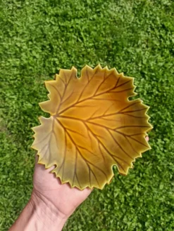 Vide poche Feuille Automne