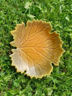 Vide poche Feuille Automne