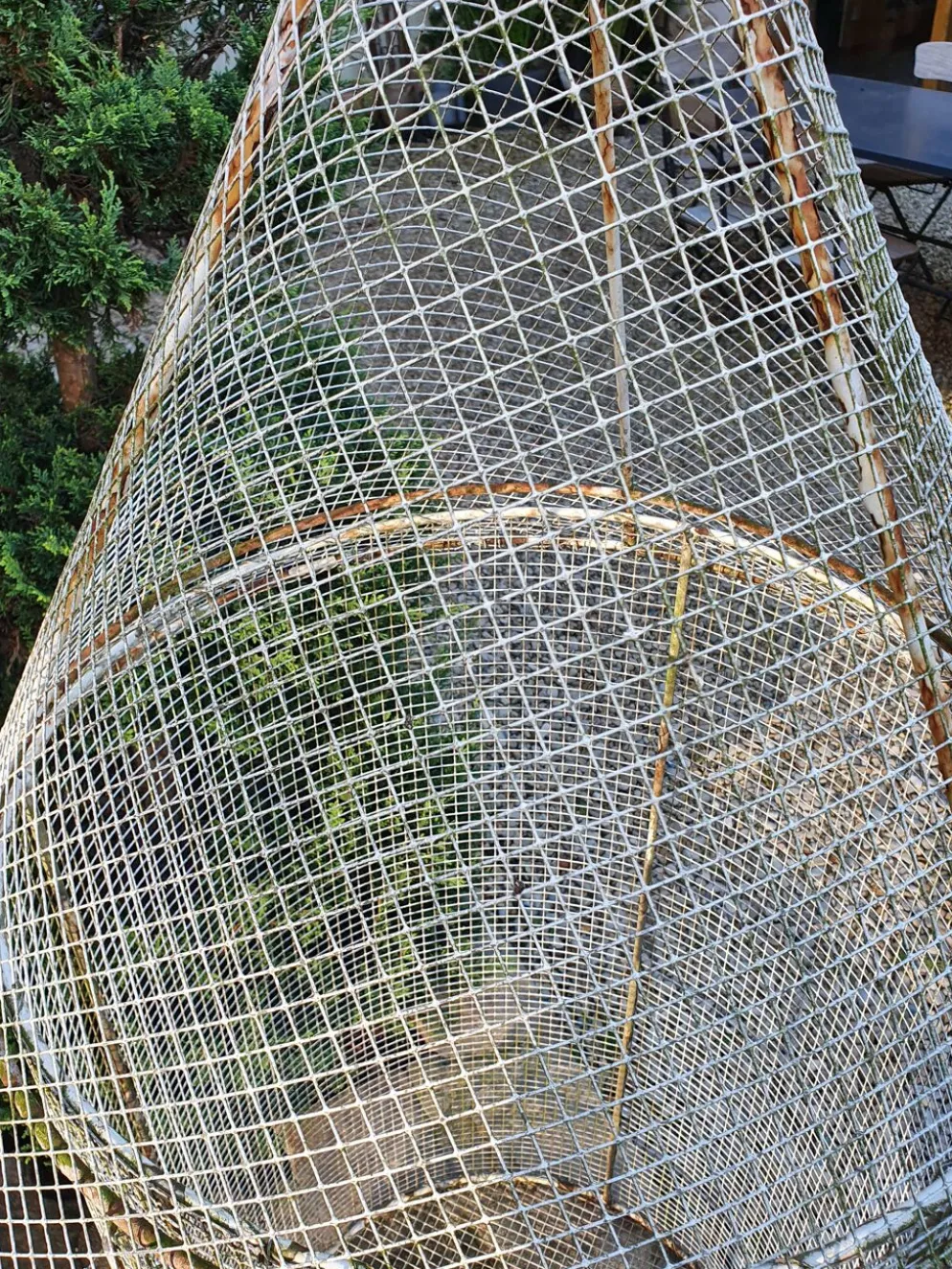 Volière fer forgé ancienne